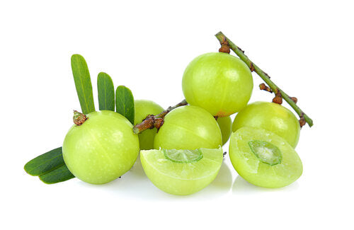 hair thickening products for women